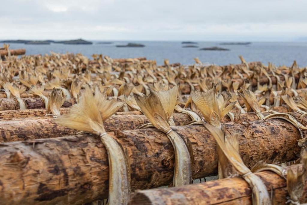 Lofoten Holiday Kabelvåg Exteriér fotografie